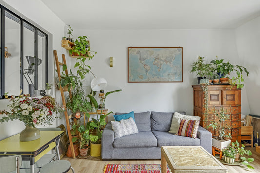 Les plantes increvables et facile d'entretien en décoration d'intérieur