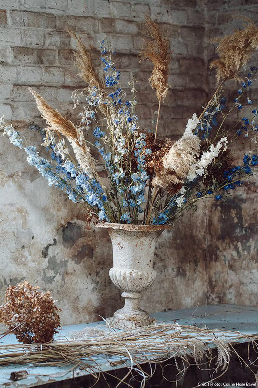 Les fleurs séchées votre nouvel atout pour votre décoration !